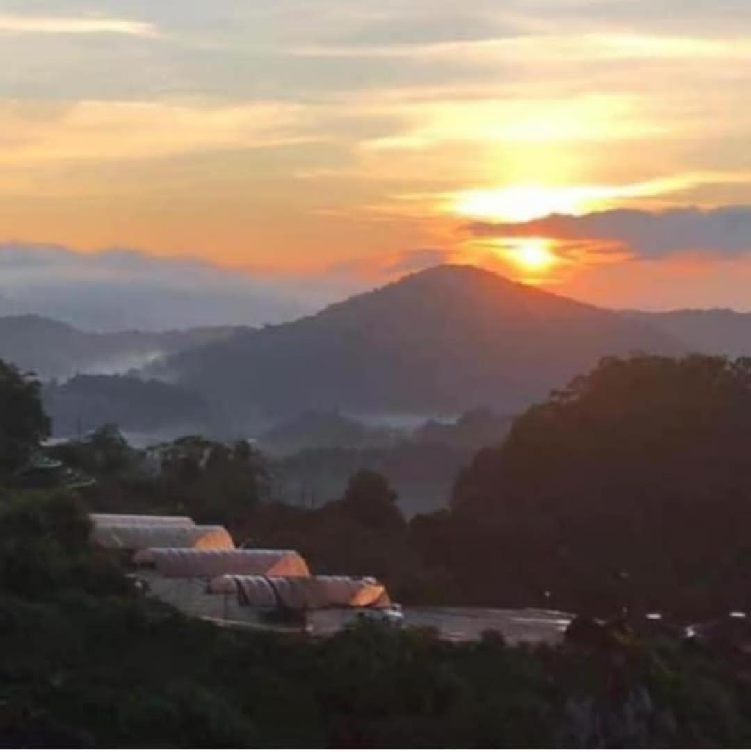 Kensington Sunrise At Sg Palas,Palashorizon Tanah Rata Buitenkant foto